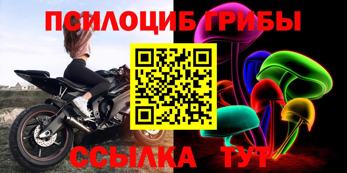 Шелехов  Псилоцибиновые грибы прущие грибы  Вход с VPN  Псилоцибиновые грибы прущие грибы 