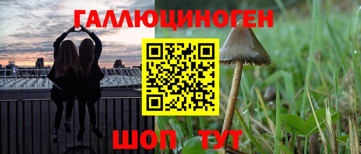Галлюциногенные грибы MAGIC MUSHROOMS Шелехов